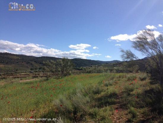  FINCA VENTA en NERPIO - ALBACETE 