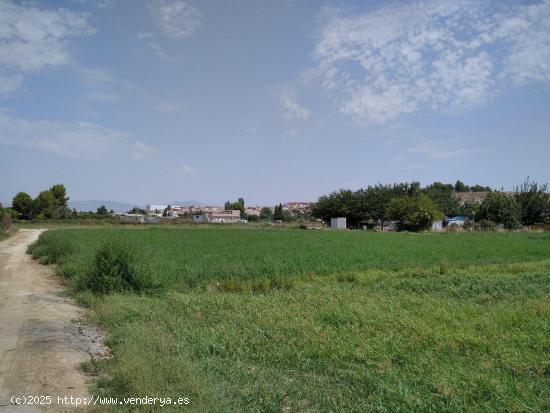 HUERTA DE REGADÍO EN TORRE ALTA - MURCIA