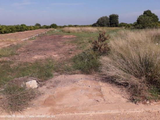  Venta de terreno rústico en la Partida Llombai de Burriana - CASTELLON 