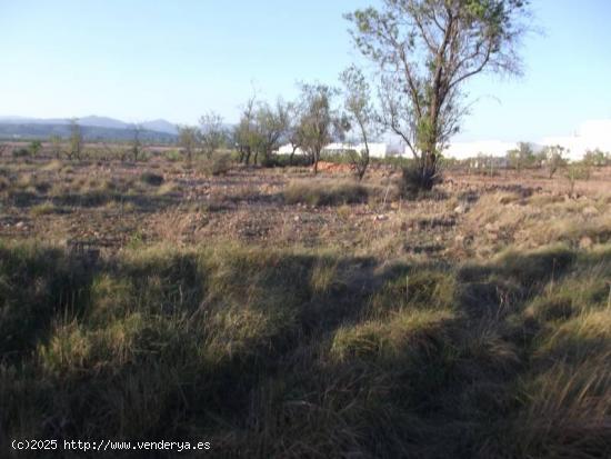 TERRENO EN VENTA ENTRE MONTALBA Y VALL D'ALBA CON VISTAS Y POSIBILIDAD LUZ Y AGUA - CASTELLON