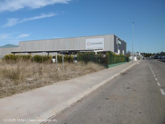 SOLAR INDUSTRIAL ECONOMICO EN VENTA VALL D'ALBA - CASTELLON