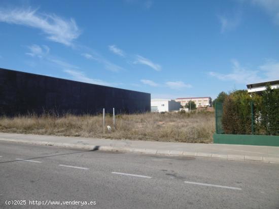 SOLAR INDUSTRIAL ECONOMICO EN VENTA VALL D'ALBA - CASTELLON