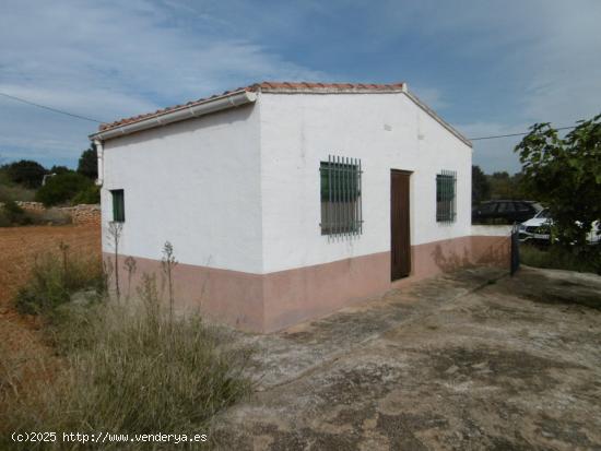 FINCA RUSTICA CON CASETA Y AGUA POTABLE - CASTELLON