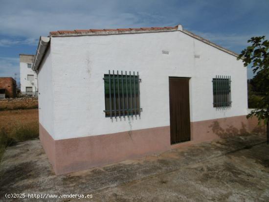 FINCA RUSTICA CON CASETA Y AGUA POTABLE - CASTELLON