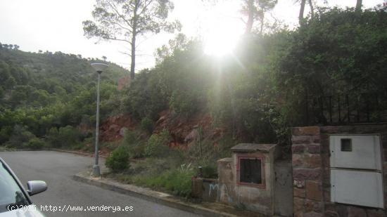 PARCELA URBANA EN URBANIZACIÓN LAS PALMAS - CASTELLON