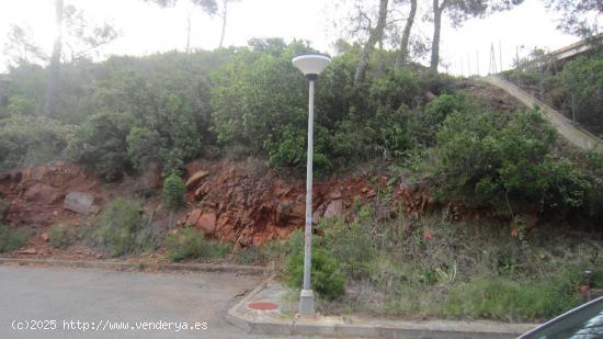 PARCELA URBANA EN URBANIZACIÓN LAS PALMAS - CASTELLON