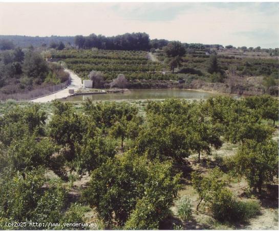 FINCA RÚSTICA. 35 HANEGADAS 130,000 METROS APROXIMADOS,  2 LAGOS DE 10 A 15 MILLONES DE LITROS APRO