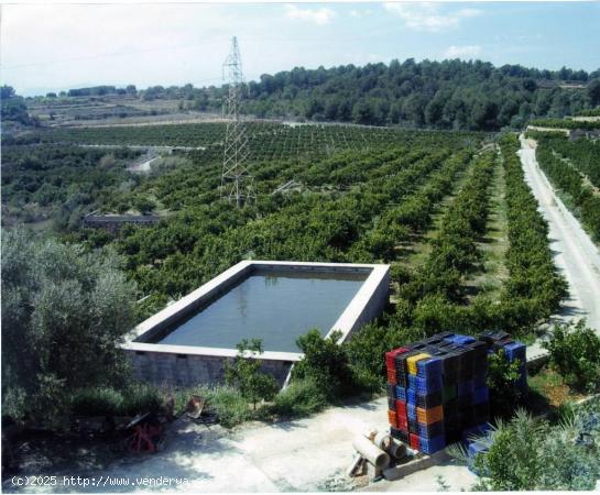 FINCA RÚSTICA. 35 HANEGADAS 130,000 METROS APROXIMADOS,  2 LAGOS DE 10 A 15 MILLONES DE LITROS APRO