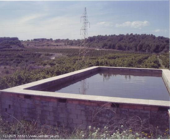 FINCA RÚSTICA. 35 HANEGADAS 130,000 METROS APROXIMADOS,  2 LAGOS DE 10 A 15 MILLONES DE LITROS APRO