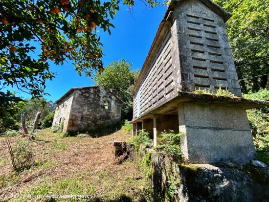  Terreno con casa para restaurar. - A CORUÑA 