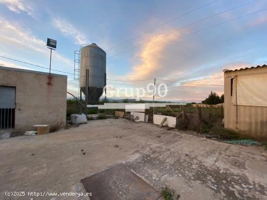  Granja para explotación de cerdos en Santa Bárbara - TARRAGONA 