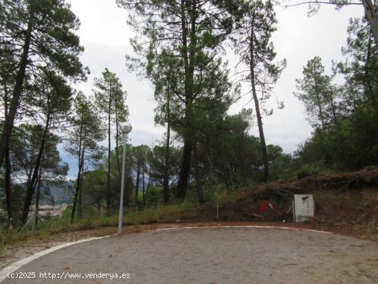 SANT CELONI (CAN SANS):  VIVIR TOCANDO EL PUEBLO RODEADO DE NATURALEZA CON VISTAS DE PÁJARO - BARCE