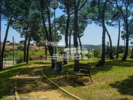 Parcela en venta en Mont-ras (Girona)