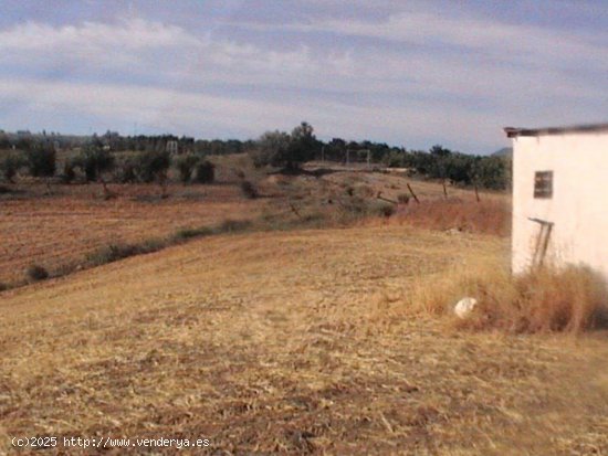 Solar en venta en Coín (Málaga)