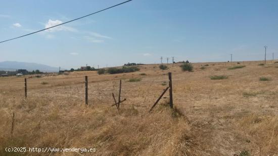 Gran finca en Ctra. Torrecaballeros a San Ildefonso - SEGOVIA