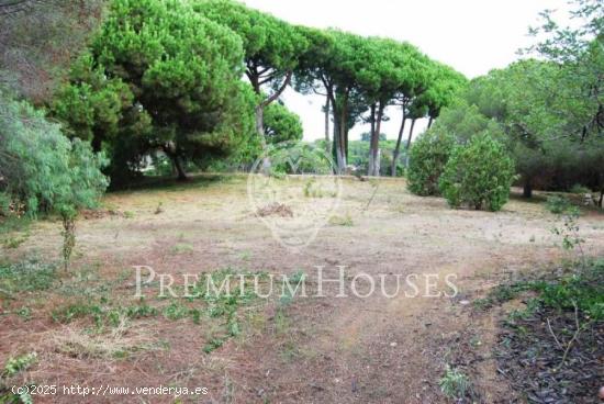  Terreno en Sant Andreu de Llavaneres - Costa BCN - BARCELONA 