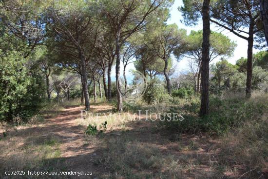 Magnífico terreno plano en Can Quirze,Mataró - BARCELONA