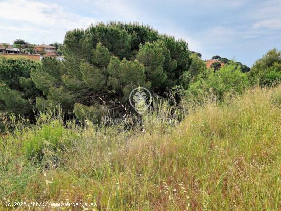  Fantástica parcela en venta en Calella - BARCELONA 