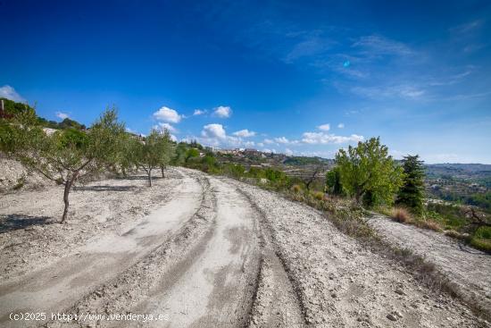 PARCELA RÚSTICA CON HERMOSA VISTA ABIERTA EN BENISSA - ALICANTE