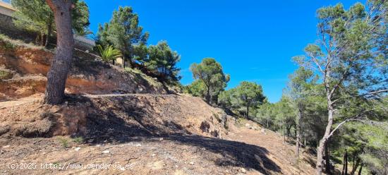 PARCELA CON VISTAS PANORÁMICAS EN CALPE. - ALICANTE