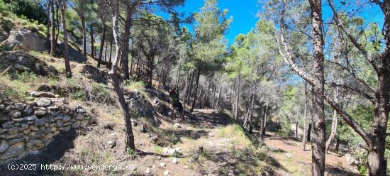 PARCELA CON VISTAS PANORÁMICAS EN CALPE. - ALICANTE