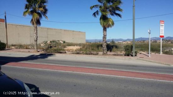 SOLAR TERCIARIO E INDUSTRIAL EN ALQUILER - VALENCIA