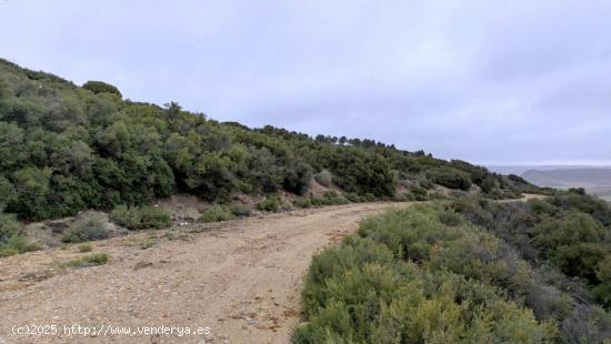  TERRENO RURAL EN DEHESA DE LOS HUEROS - MADRID 