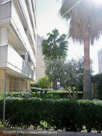 Apartamento en la playa de Gandia - VALENCIA