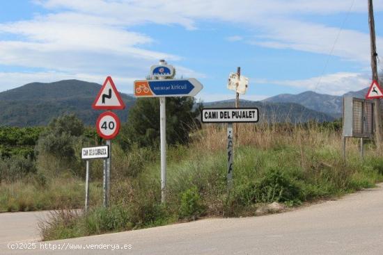 Venta finca rústica Paraje Font del Garrofer-jericull - VALENCIA