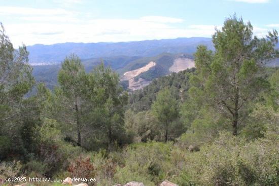 Finca rústica en Oliva - VALENCIA