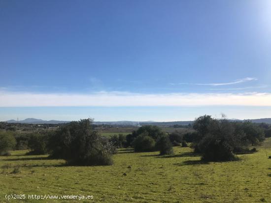 Terreno urbanizable de 28.474m2 con vistas a Petra y proyecto aprobado - BALEARES