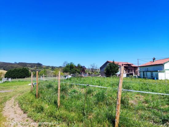 FINCA RÚSTICA EDIFICABLE EN CERRAZO.- - CANTABRIA