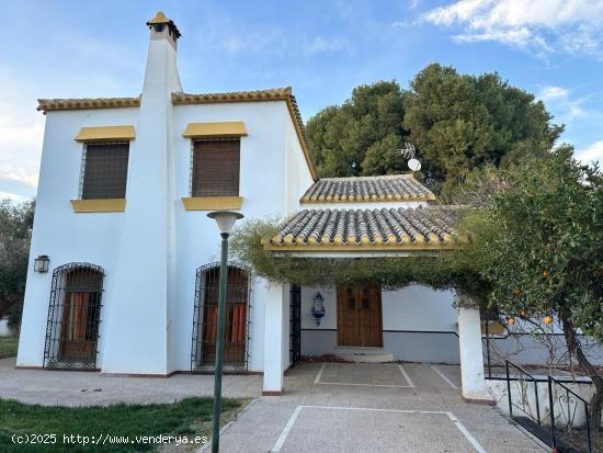 MAGNÍFICO CHALET CON JARDINES - MURCIA