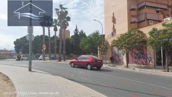 LOCAL EN ALQUILER EN ALQUILER - ZONA SAN BLAS - ALICANTE