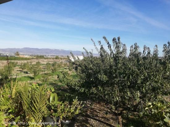 Chalet en construcción en Aguaderas - MURCIA