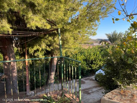 Casa con gran terreno en El Fenazar - MURCIA