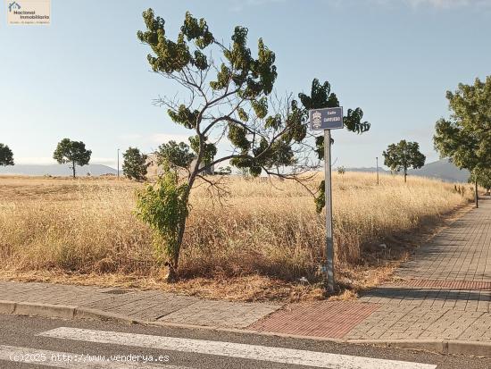 Solar urbano para construir - SEGOVIA