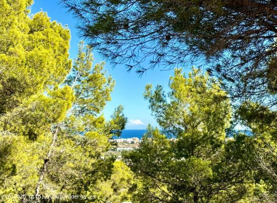 Exclusiva parcela en Tosalet V con vistas panoramicas al mar - ALICANTE