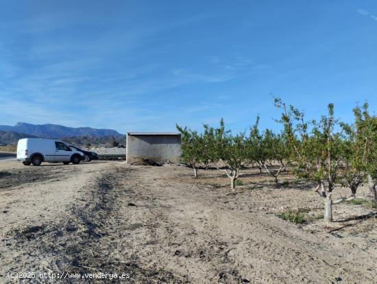 Terreno Agrario - Lébor, Totana - MURCIA