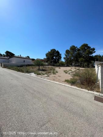 PARCELA DE 400 M2 EN SALINETAS ( Suelo urbano) - ALICANTE