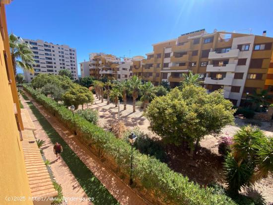 Apartamento en la mejor urbanización de Punta Prima - ALICANTE