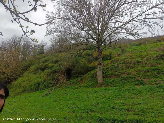 Suelo rústico en Venta en Campo De Caso Asturias