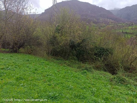 Suelo rústico en Venta en Campo De Caso Asturias