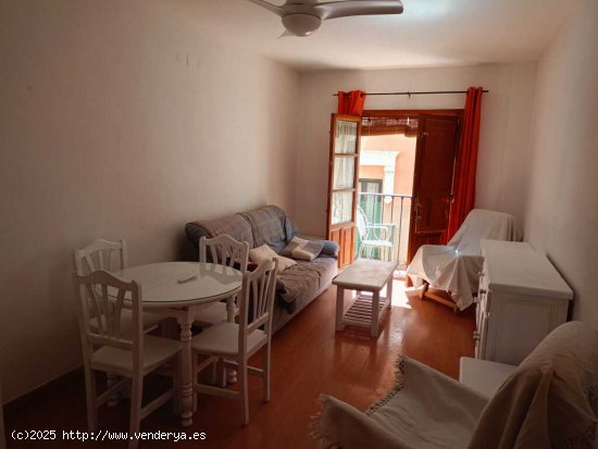 Apartamento en Alquiler en Granada Granada CENTRO