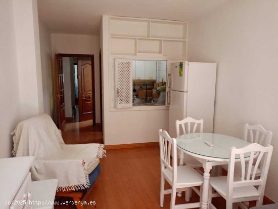 Apartamento en Alquiler en Granada Granada CENTRO