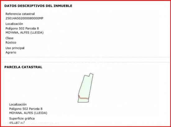 Terreno Rústico en Alfés – 50,000 m²