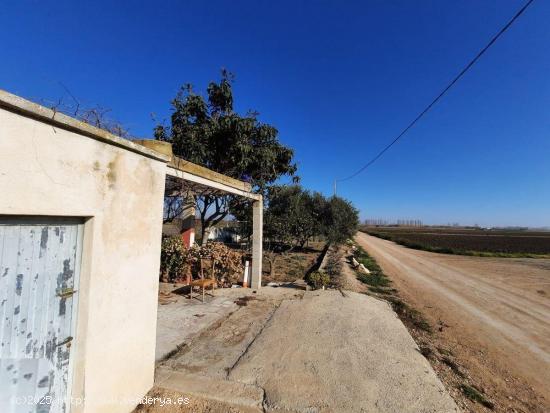 Finca Rústica cerca de la población. - TARRAGONA