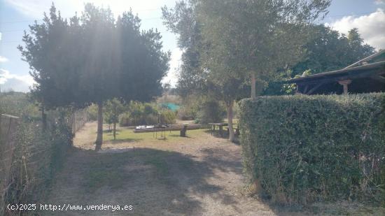 OPORTUNIDAD FINCA EN LA BARCA DE LA FLORIDA - CADIZ