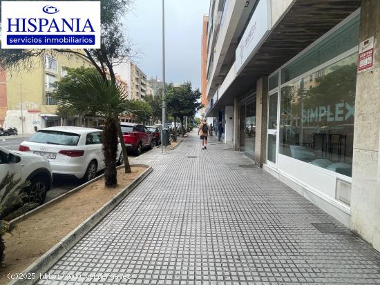 Se alquila magnifico local en plena Avenida principal de Cádiz - CADIZ