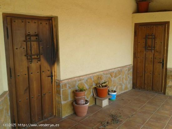 CASA CUEVA CON TERRENO - MURCIA